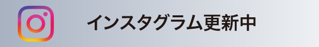 インスタグラム更新中